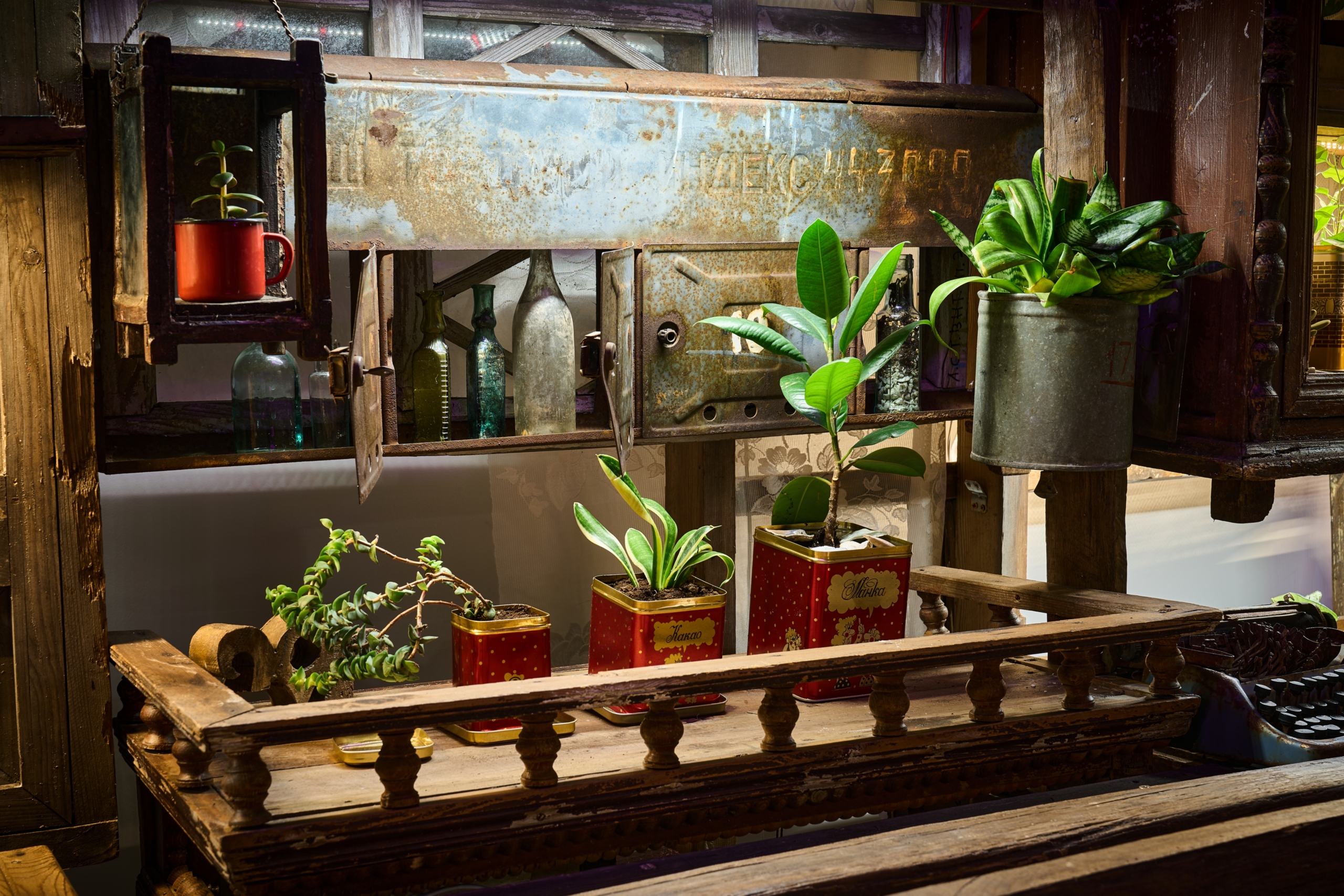 Открытая мастерская «Рассада. Начало» (0+)